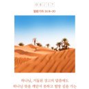 큐티 이미지