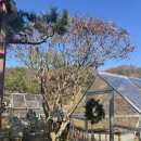 홍천더테라스 이미지