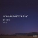 채하정 이미지