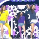 덤덤 이미지