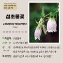 섬국어