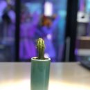 플라워맨카페(flower man cafe) 이미지