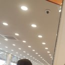 루이까스텔청주