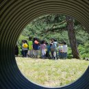 곡성유치원 이미지