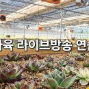 가빈농장 이미지