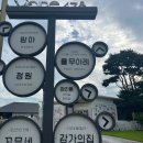 카페풀무 | 가평 야외수영장 풀무아레 이용후기 [ 당일치기 이용 가능 및 방법 소개]