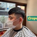 TURTLECOMB(터틀콤)