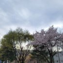 화로우김해