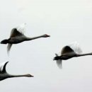 낙조민박 이미지