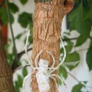 동인한약국 이미지