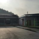 재영홍삼