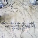 미다듬헤어 네이버블로그