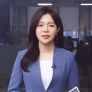 (사)괴암 김주석 기념사업회 | 시상식 사회자 안예은 아나운서 | 괴암 김주석 기념식·자유상화 미술 공모전 진행 후기