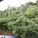 월드펜션모텔 이미지