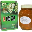 청정 벌꿀 이미지
