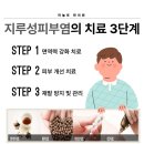 성균관한의원 이미지