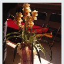 동량초등학교 이미지