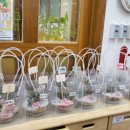 해솔초교(병설) 이미지