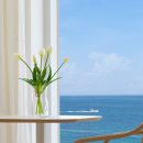 바다담스파풀빌라 이미지