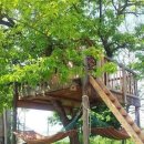 라온디자인 네이버블로그