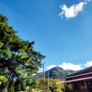 구병리 공중화장실 이미지