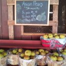 형제농장2 이미지