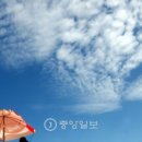 파란테크 이미지