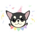 애견백화점 이미지