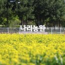 오전꽃농원 이미지