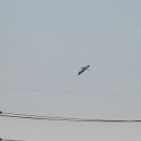 고성리-6 이미지