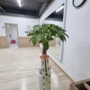 무학검도관 이미지