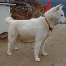 지송농장 이미지