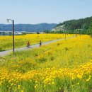 낙동강변26 이미지