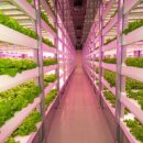 스마트팜 이미지