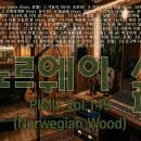 노르웨이숲 - 서산시 안견로 235 | 노르웨이숲