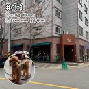 조치원 고려대 카페 &#34;너머&#34; 마스코트가있는 분위기좋은 카페