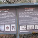 해련사 장엄의식구 Daum카페