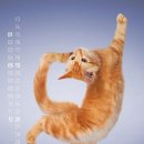 주말요가 이미지