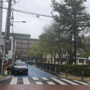 또와 | 정림동 맛집 찾았다! 점심특선까지 완벽했던 또와곱창 솔직후기