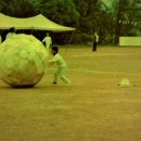 북일초등학교 이미지