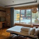 웰컴 펠릭스 이미지