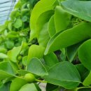 성립농장 이미지