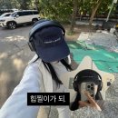 (주)고알레 | 보스 QC 울트라 헤드셋 블랙 내돈내산 후기. 35만원에 구매 완!