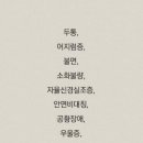 피부봄날 이미지