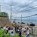 코코마요 이미지