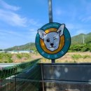 아이스홀릭 정관점