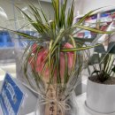 아름동물병원 이미지