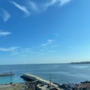 [24.03-中] 행복으로만 가득한 제주도 여행기에요