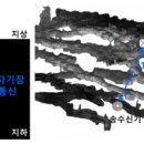 [2025 DAILY PICK 제195호] &#39;지하 100m에서도 음성 통신 성공… ETRI, 세계 최초 &#39;지중 무선통신&#39; 구현&#39; 등 이미지