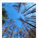 치악산둘레길 4코스 노구소길 이미지